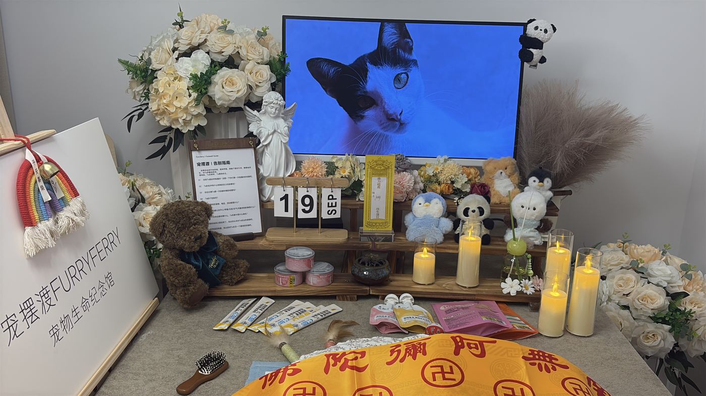 如何面对宠物离世的悲伤？写给海口养宠人的心理支持
