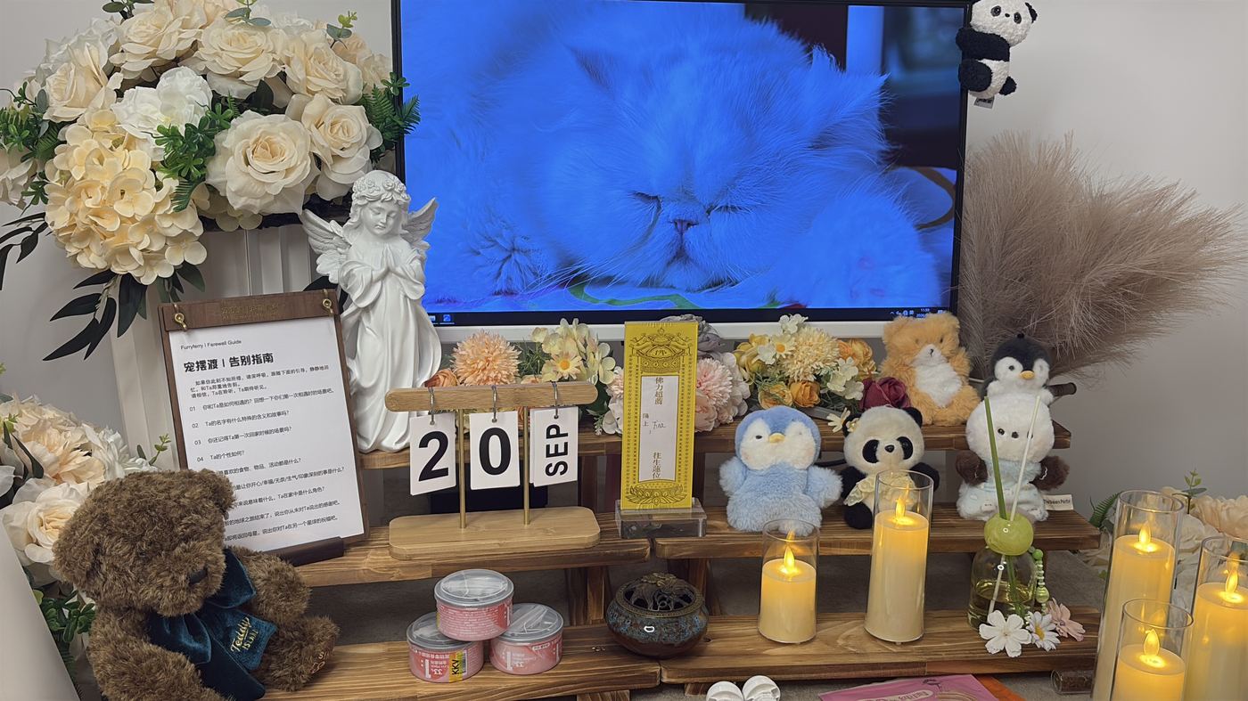 海口宠物告别厅布置：如何给椰城家属一个体面的告别