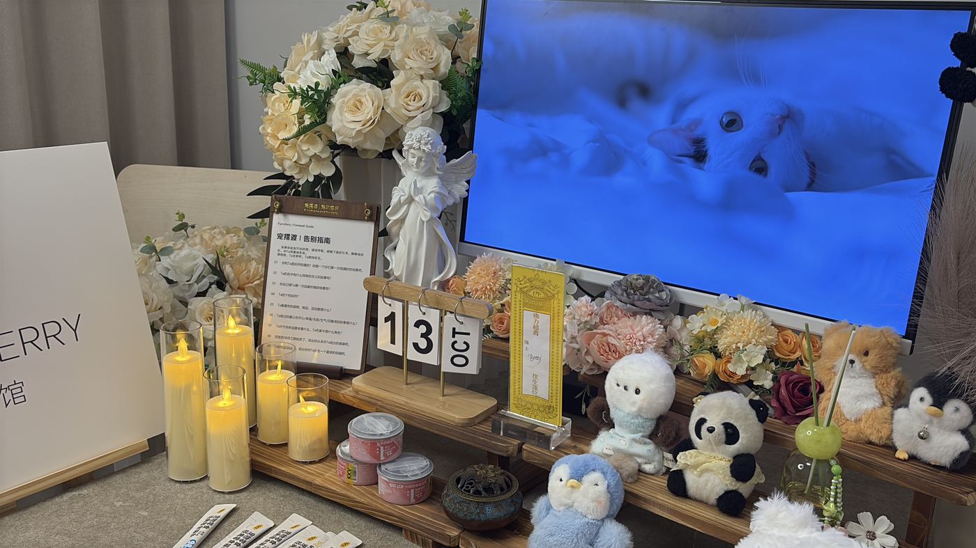 海口宠物殡葬办理指南：流程、费用与注意事项