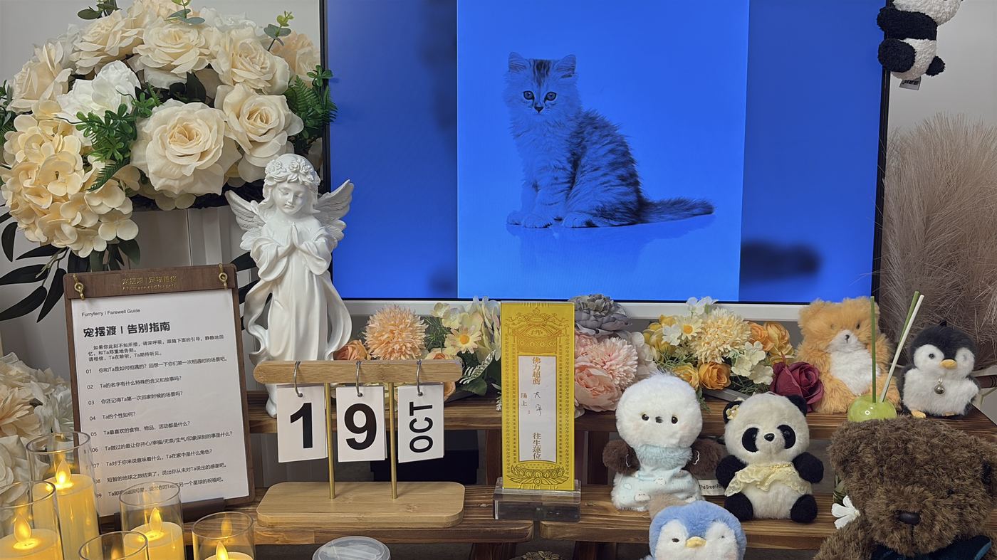 节日期间宠物殡葬服务安排：海口春节与清明假期指南